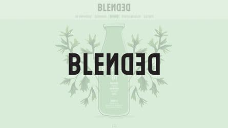 Blended – Web Sitesi, Kurumsal Kimlik